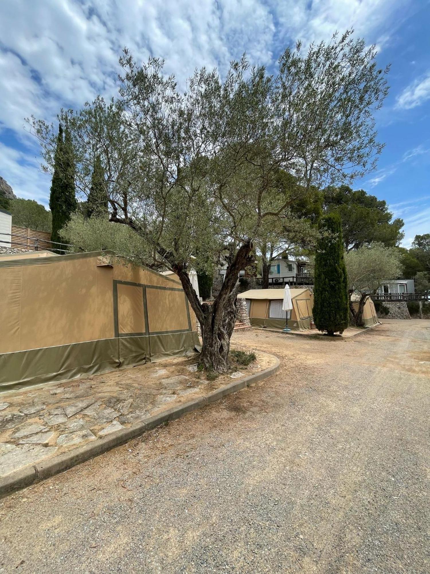Camping Castell Montgri **** L'Estartit Luaran gambar